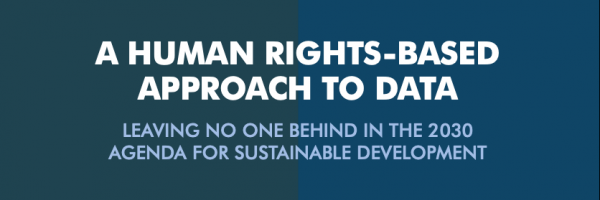 The text "A Human Rights-Based Approach to Data, Leaving No One Behind in the 2030 Agenda for Sustainable Development" is displayed in bold. Icons representing participation and disaggregation are displayed over a cropped part of a sector diagram.